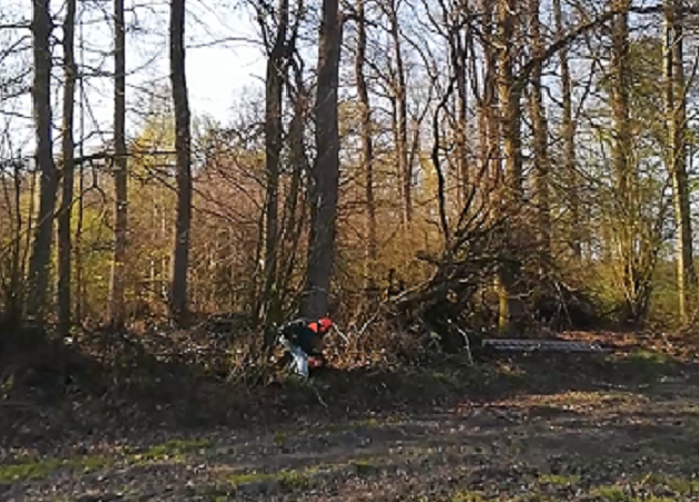 Baum f�lllen